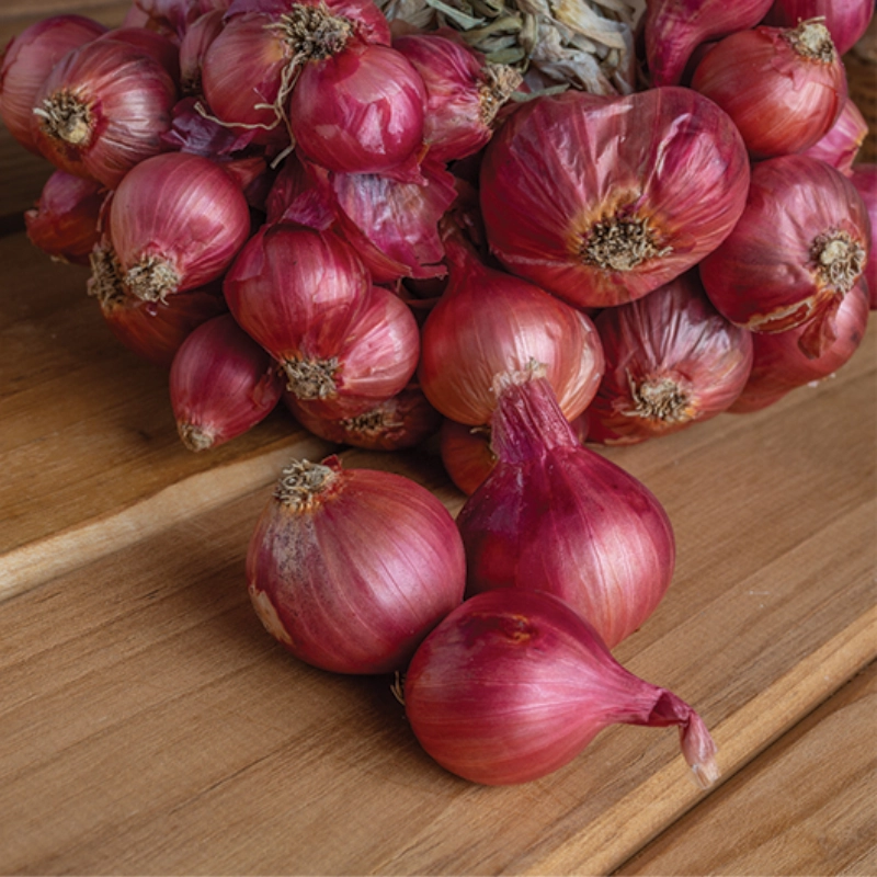 Desi Garlic New